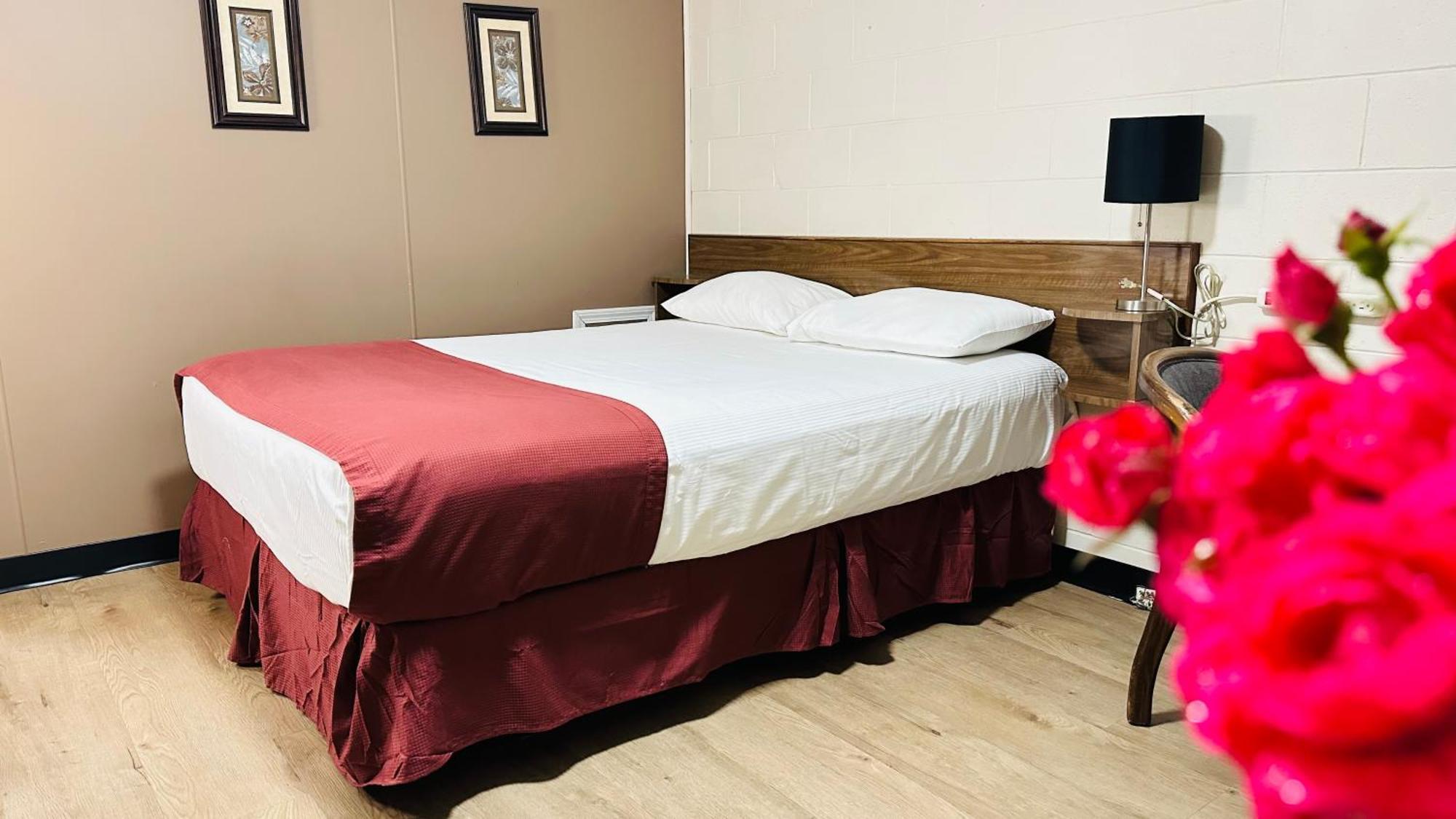 Travellers Motel Cranbrook Eksteriør bilde