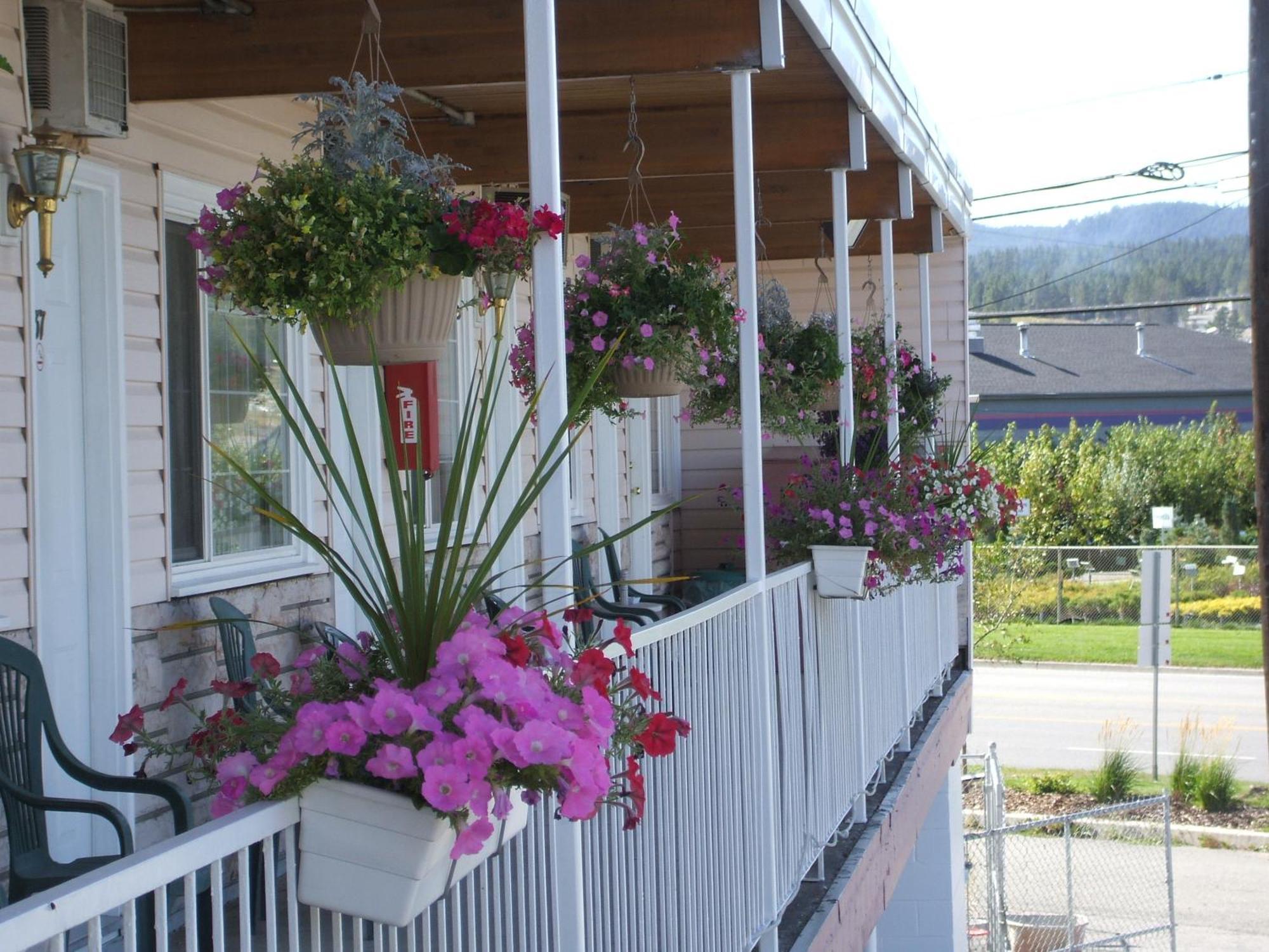 Travellers Motel Cranbrook Eksteriør bilde